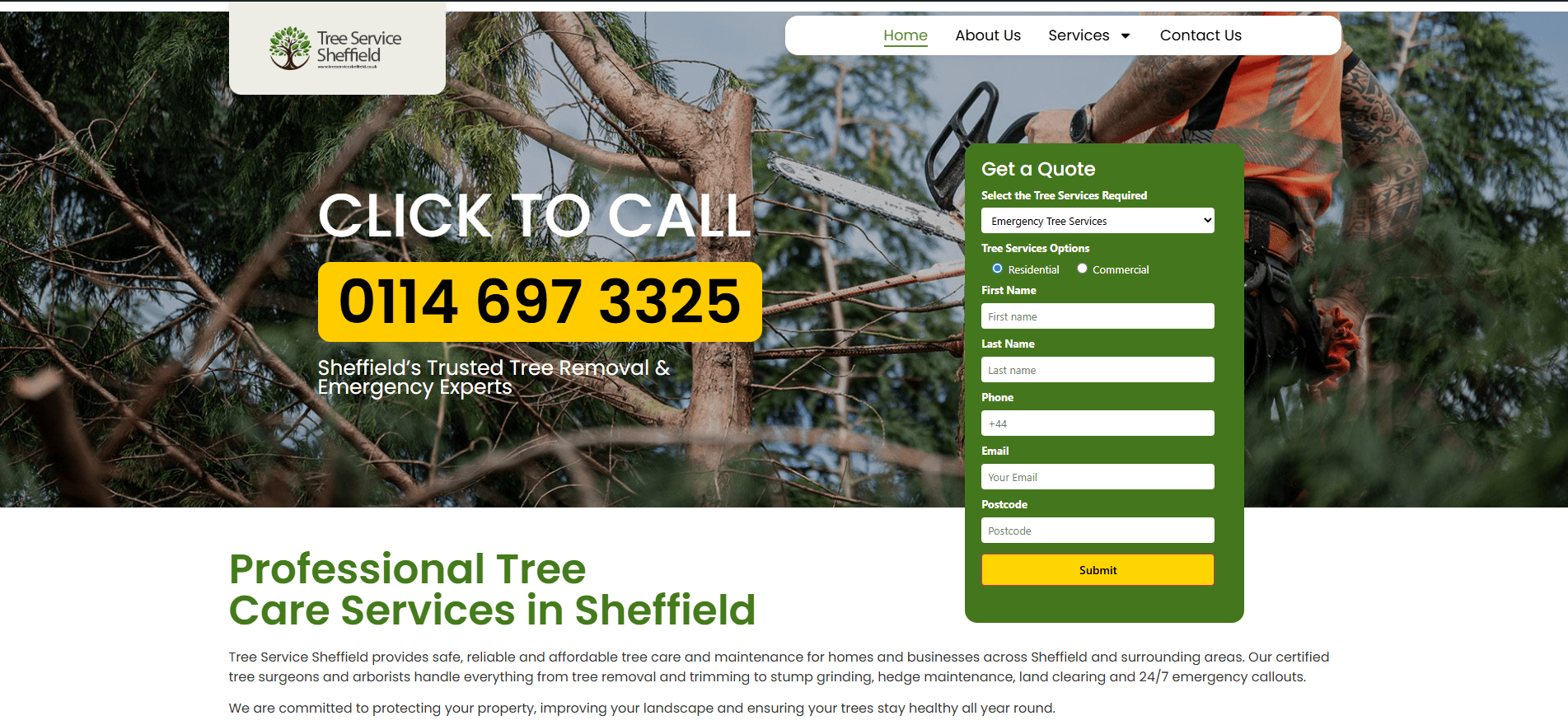 Address Me Tree Tree Surgery Near Me: Expert Services Available