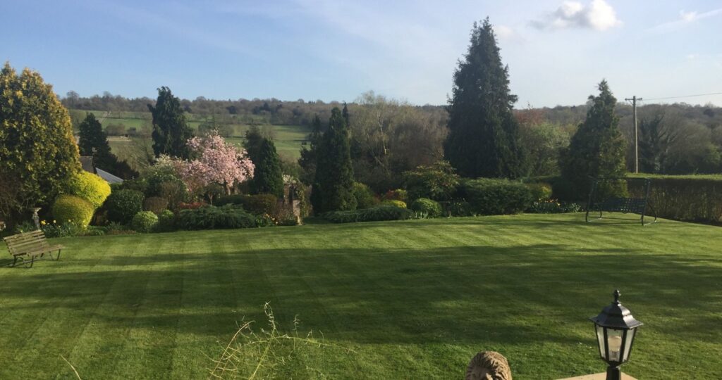 Do You Need Council Permission or a Tree Preservation Order (TPO) in Sheffield?
