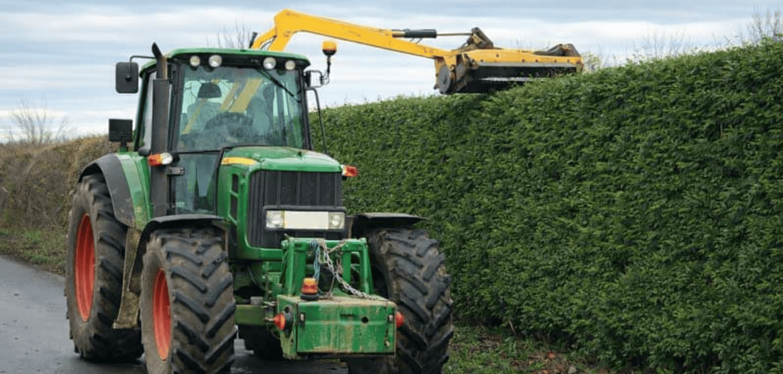 The Complete Hedge Trimming Guide for Sheffield Homes and Gardens