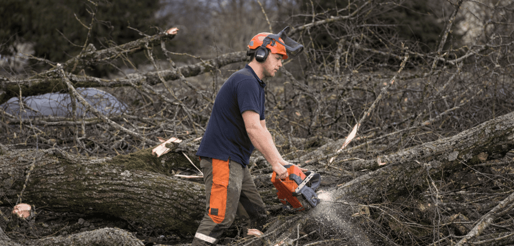 Emergency Tree Services in Sheffield: What Counts as an Emergency, and How Fast Can You Respond?